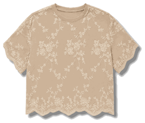 Allover Embroidery Top